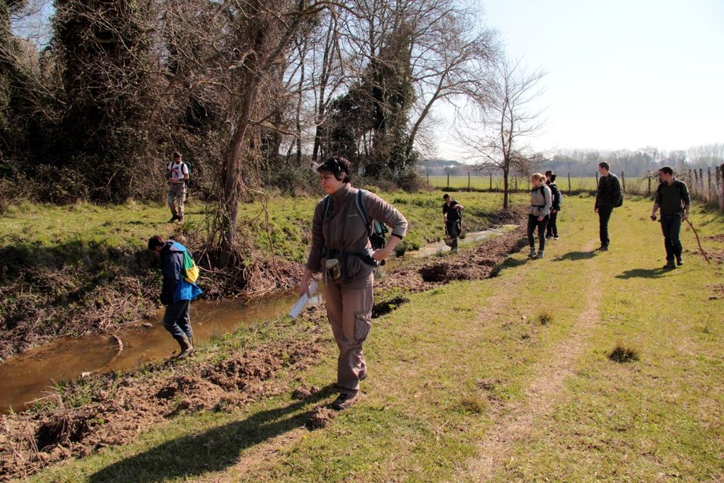 VOLONTANFIBI 2014: Parco Regionale MSRM